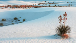 white_sands-538x309