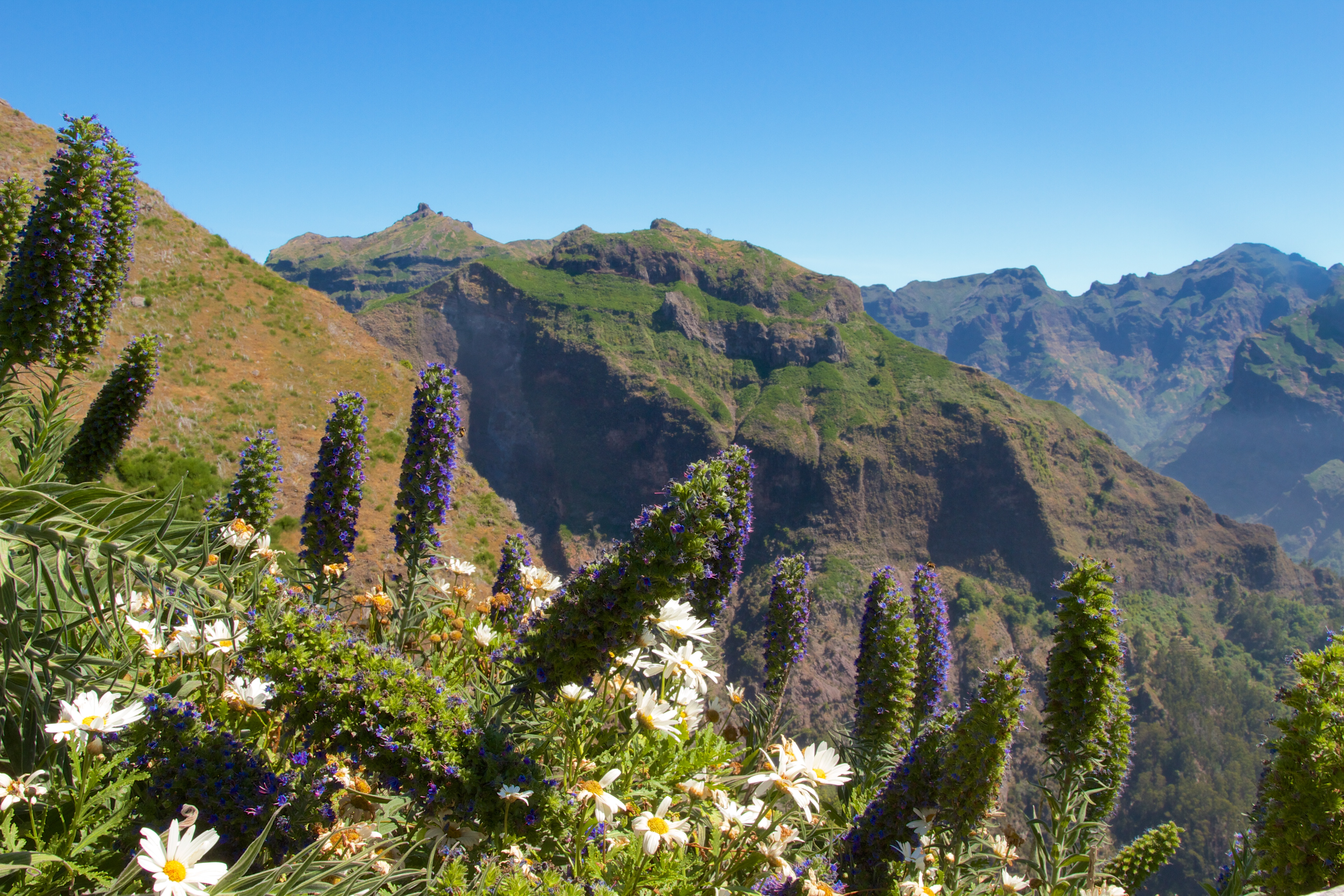 What to do in Madeira? Levada walks!