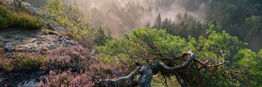 The Paradise on Earth? Explore Bohemian Paradise!