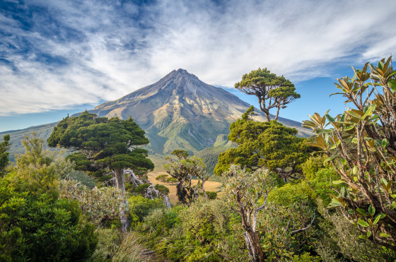Explore amazing nature of New Zealand in 3 weeks!