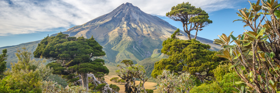 Explore amazing nature of New Zealand in 3 weeks!