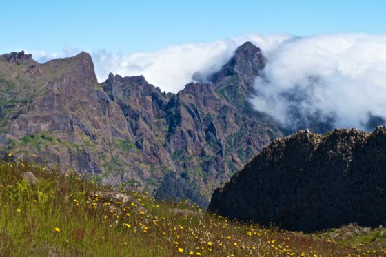 Top 5 most popular places at Madeira