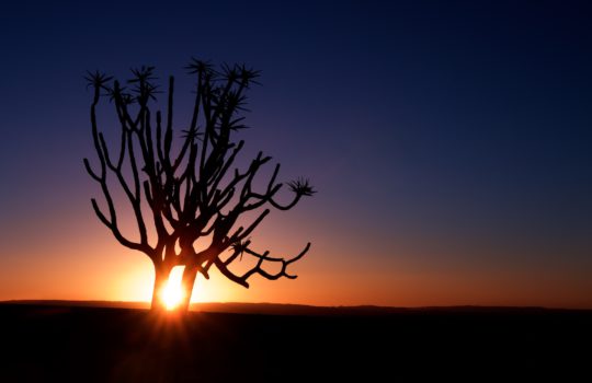 When Is the Best Time to Travel to Namibia?