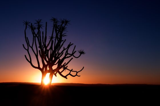 When Is the Best Time to Travel to Namibia?